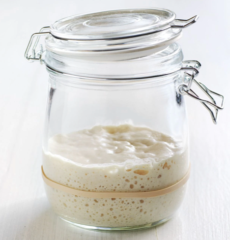 sourdough starter